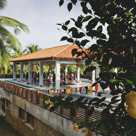 Utmt - Underneath The Mango Tree Spa & Beach Resort Dikwella Bagian luar foto